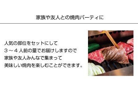 特選黒毛和牛 熊野牛 焼肉セット（バラ・肩ロース） 約１kg【mtf400】