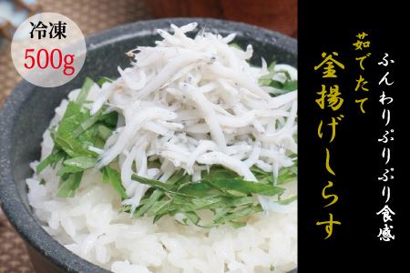 茹でたて釜揚げしらす　海の恵　500g【冷凍】 無添加・無着色 しらす シラス 釜揚げ 冷凍【mar102】 9,500円