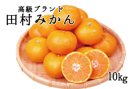 高級ブランド田村みかん　10kg【予約】※2026年11月下旬～2027年1月下旬頃に順次発送予定【uot505A】