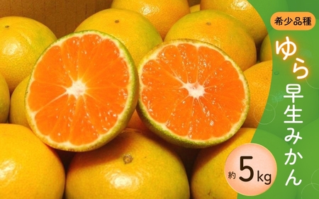 【2026年秋頃発送予約分】\光センサー選別/ 【農家直送】甘くて濃厚!希少品種 ご家庭用 ゆら早生みかん 約5kg 有機質肥料100% サイズ混合 ※2025年10月上旬より順次発送予定(お届け日指定不可)【nuk109E】