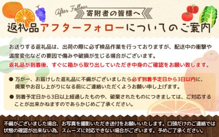 【濃厚】有田の不知火 約6.5kgご家庭用向け （サイズ混合） ※2025年2月中旬～2025年2月下旬頃に順次発送予定（日付指定不可）【tec864】