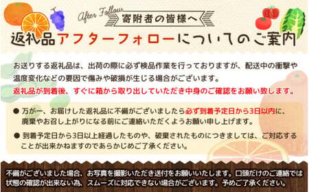 紀州和歌山産の桃　約1.8kg　化粧箱入	※2026年6月下旬頃〜2026年8月上旬頃順次発送（お届け日指定不可）【uot720-2】