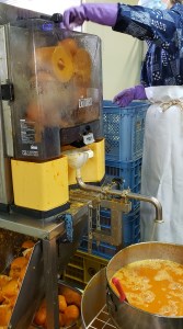 有田みかんの味皇（あじおう）180ml×12本【kjk101】