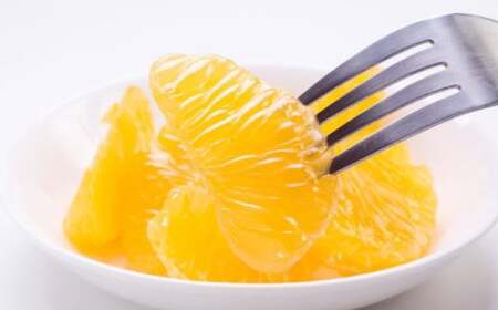 【先行予約】【産直】和歌山由良町産の木成り熟成八朔約10kg（S～Lサイズをお届け）※2026年3月中旬～2026年4月中旬頃に発送（お届け日指定不可）【tec875B】