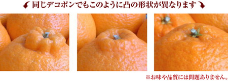 デコ不知火（デコポン） 約5kg/サイズおまかせ　※2026年2月上旬～2026年4月上旬頃に順次発送予定(お届け日指定不可)　紀伊国屋文左衛門本舗　【kstb420A】