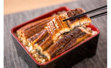 【国産 大型サイズ】ふっくら柔らか国産うなぎ蒲焼き 約２人前 化粧箱入  うなぎ 国産 特大【uot714A】