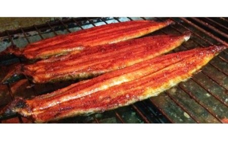 【国産 大型サイズ】ふっくら柔らか国産うなぎ蒲焼き 約２人前 化粧箱入  うなぎ 国産 特大【uot714A】