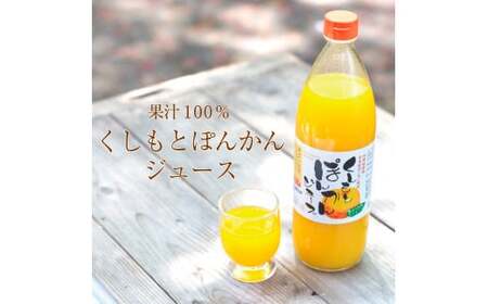 果肉入り！くしもとポンカンジュース 900g ×6本 無添加 果肉入り 果汁100% ストレートジュース / ドリンク 柑橘 ぽんかん フルーツ みかん ミカン オレンジ 限定 和歌山【sse206B-6】