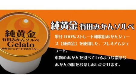 プレミアムジェラート 純黄金12個セット 有田みかんソルベ アイスクリームセット 100mlカップ ゆあさジェラートラボラトリー【kstb700-08】