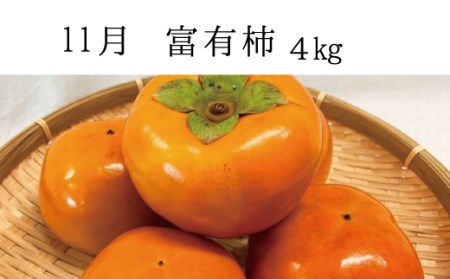 【全3回定期便】秋の味覚 果物定期便　柿・みかん　旬のフルーツを毎月お届け♪【tkb130】