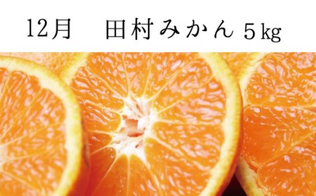 【全3回定期便】秋の味覚 果物定期便　柿・みかん　旬のフルーツを毎月お届け♪【tkb130】