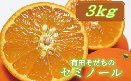 【2025年4月より順次発送】有田育ちの爽快セミノールオレンジ(ご家庭用)　約3kg【ard024A】