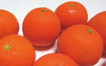 【2025年4月より順次発送】有田育ちの爽快セミノールオレンジ(ご家庭用)　約3kg【ard024A】