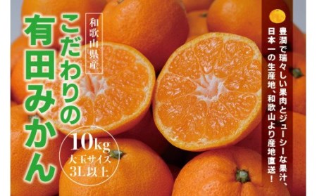 【農家直送】有田みかん　約10kg 大玉3L以上　有機質肥料100%  ※2024年12月初旬～1月中旬に順次発送(お届け日指定不可)【nuk139C】