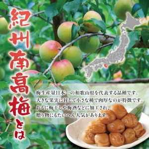 紀州南高梅 つぶれ梅 かつお【ハチミツ入】塩分10%（500g）なかやまさんちの梅干 梅干し 梅干 梅 うめ ウメ【nky017-205k】