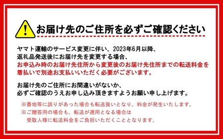 家庭用キウイフルーツ1kg+30g（傷み補償分）【わけあり・訳あり】【ikd037B】