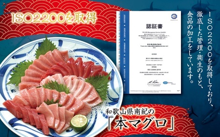 本マグロ トロ＆赤身セット 500g（養殖）【12月発送】濃厚な赤身と高級部位トロの鮪好きにはたまらないセット 【串本町×北山村】 高級 クロマグロ【nks110A-12】