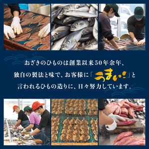 おざきのひもの 詰め合わせセット＜旬の魚をお届け！＞（Aセット）【冷凍】 お取り寄せ グルメ ご当地 ご当地グルメ 食品 お土産 特産品 ひもの 干物 干物セット イカ 一夜干し 【ozk100-1】