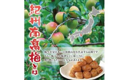 訳あり 紀州南高梅 ＜つぶれ梅＞うす塩750g【ハチミツ入】塩分10%　なかやまさんちの梅干 うめ ウメ 梅干し【nky013-175k】