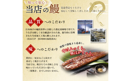 うなぎ蒲焼 4尾 計約860g～960g （タレ・山椒付き） 1尾で約215g～240gのビッグサイズ 【通常発送】【nks702B】