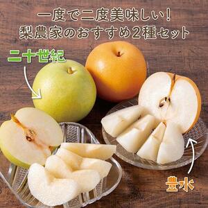 二十世紀と豊水の食べ比べセット 5kg【まえた農園】