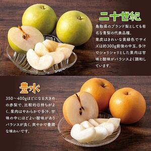 二十世紀と豊水の食べ比べセット 5kg【まえた農園】