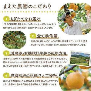 二十世紀と豊水の食べ比べセット 5kg【まえた農園】