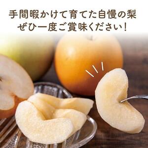 二十世紀と豊水の食べ比べセット 5kg【まえた農園】