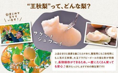 訳あり 王秋梨 5kg【やぶやフルーツガーデン】