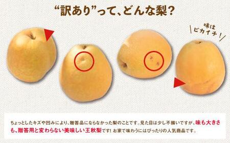 訳あり 王秋梨 5kg【やぶやフルーツガーデン】