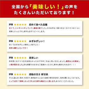 新甘泉 3キロ【安田農園】