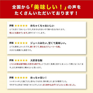 新甘泉 5キロ【安田農園】