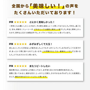 王秋梨 5キロ【安田農園】