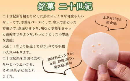 銘菓 二十世紀 24枚入