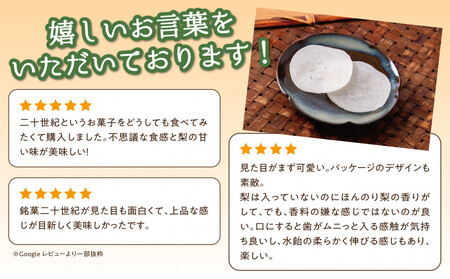 銘菓 二十世紀 24枚入