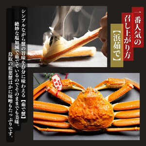 【特選】松葉ガニ 特大サイズ 約900g～1kg タグ付(茹で)