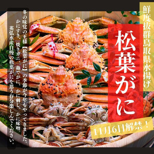 【特選】松葉ガニ 特大サイズ 約900g～1kg タグ付(茹で)
