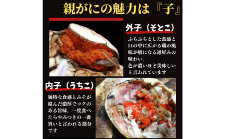 【特選】親がに(せこがに) 5枚セット (浜茹)