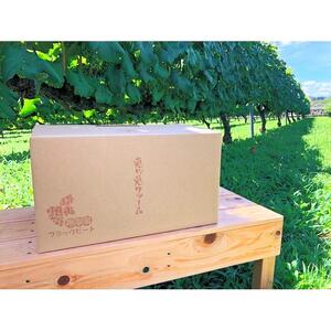 ぶどう ブラックビート 1.5kg (進物用)
