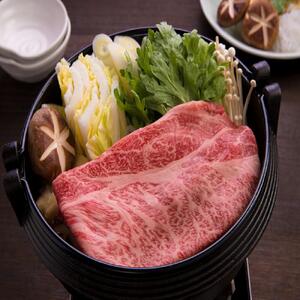 【武尊セレクト鳥取和牛 レジェンドセット】牛もも・ロース 約400g