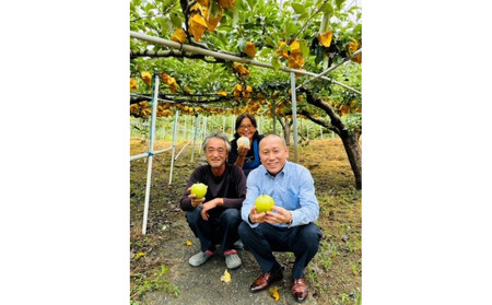 梨のフルーツらっきょう 75g×10個