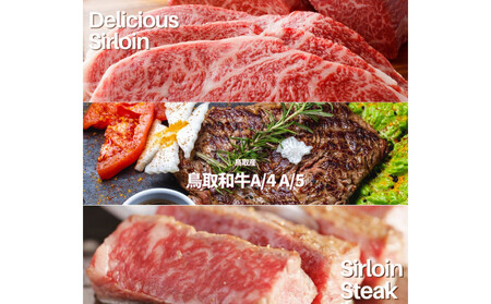 鳥取和牛 サーロインブロック 3kg