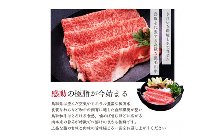 鳥取和牛 すきやき用ロース肉 1kg