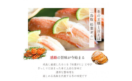 松葉がに 甲羅盛り 5個【11月中旬から入荷次第発送】