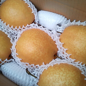 王秋梨 3kg【まえた農園】