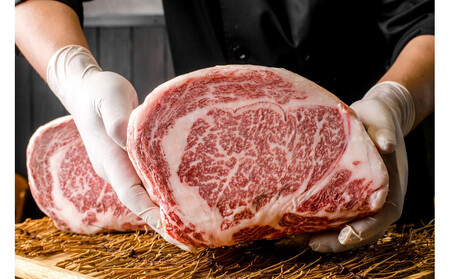 鳥取和牛 リブロース ブロック 約3500g