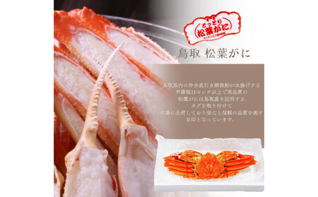 松葉がに タグ付き(茹で)中サイズ 1枚
