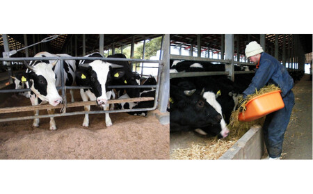 交美牛 肩ロース焼肉用 600g(300g×2P)