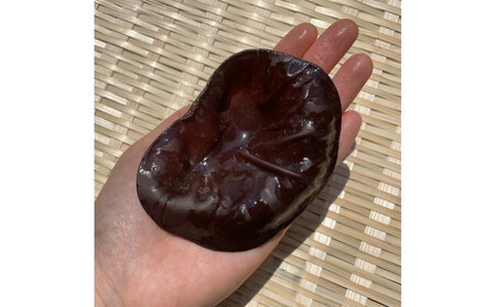 【鳥取県産】生きくらげ 1kg