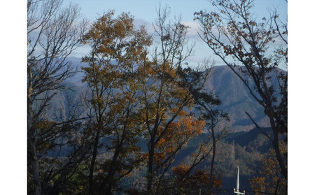 干し芋400ｇ（200g×2袋）自然栽培のべにはるか